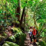 Best nature walks on the Gold Coast